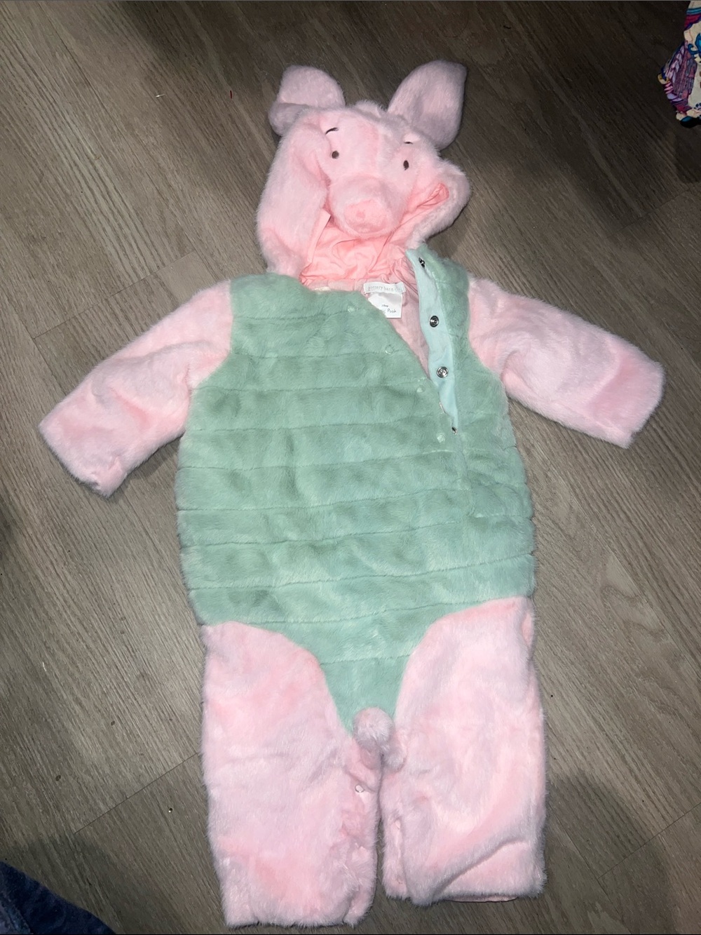 Disney Pottery Barn Kids Pooh Piglet Pink & Mint Plush Pig One-Piece costume
